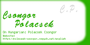 csongor polacsek business card